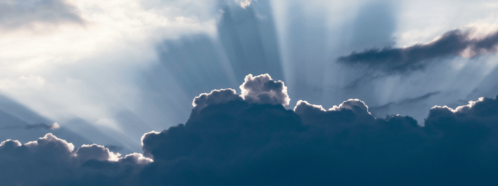 O não-saber como resistência ética e política